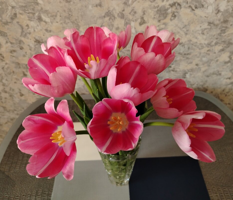 Цветы в доме - Надежда 