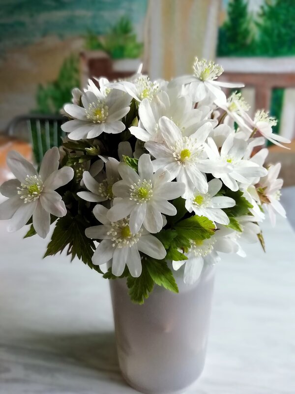 Ветреница дубравная - Лариса С.