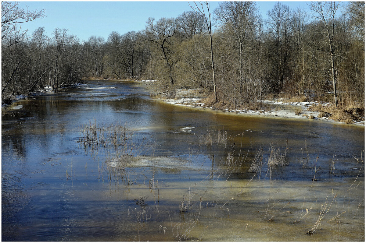 Весна - Aleksandr Gal