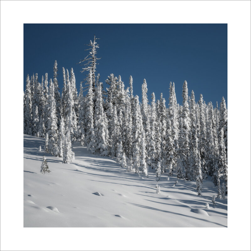 * - Александр Иванов