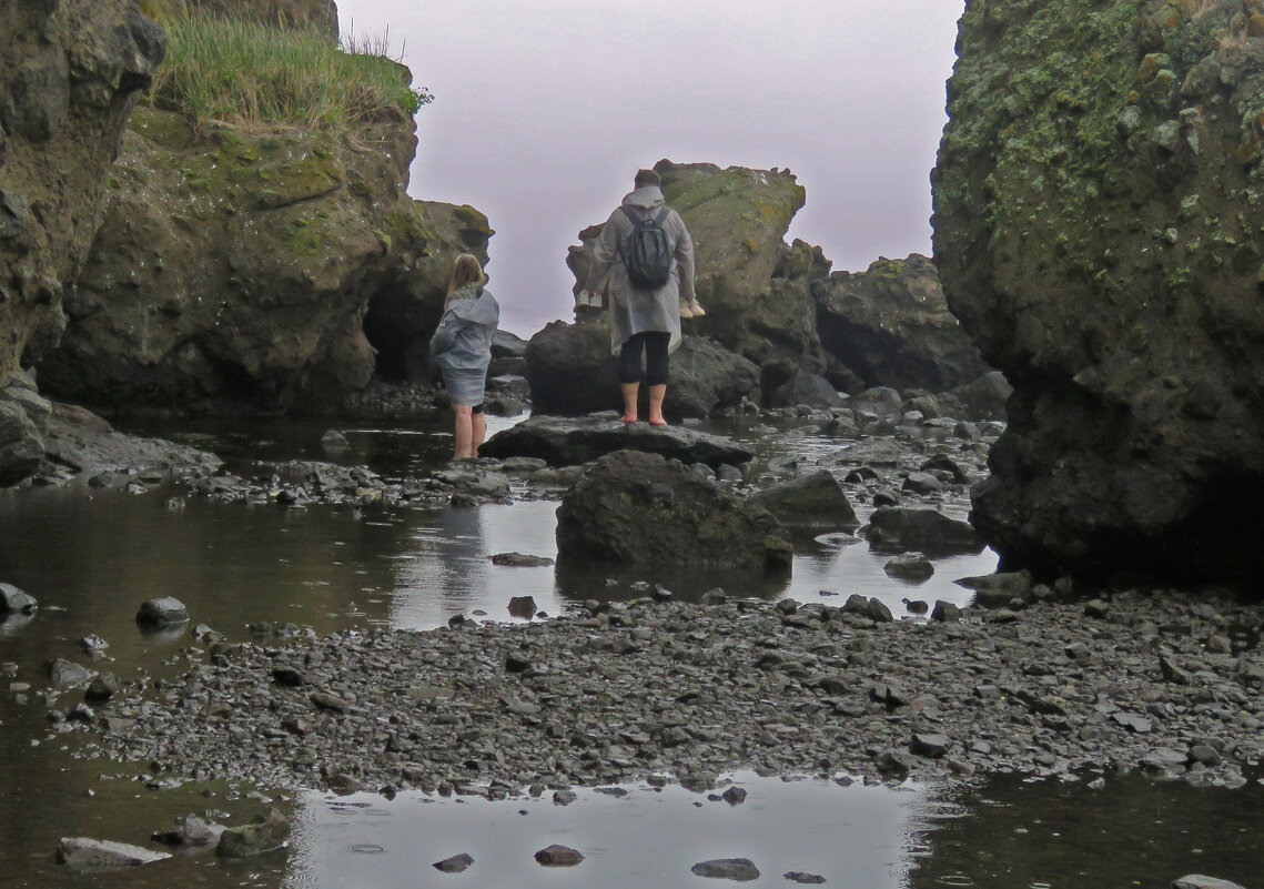 В поисках моря.. Отлив. Бухта Тихая. - ИРЭН@ .