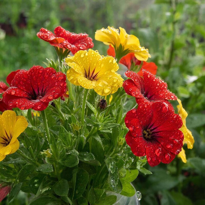 Друзья! С наступающим Вас праздником 8 марта !!! - МАРИЯ ПОПОВА