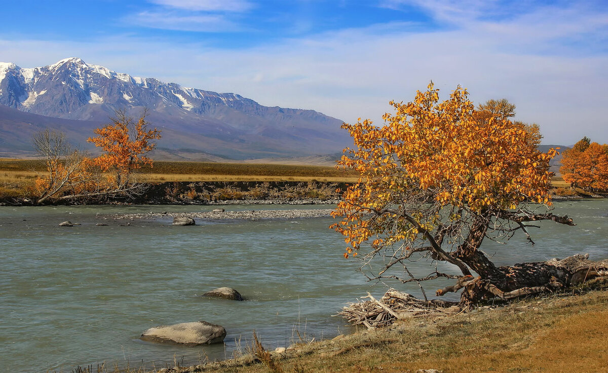 У курайского моста - елена беликова
