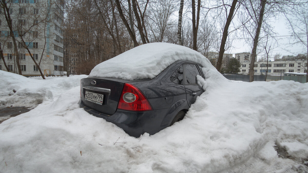 Подснежник - юрий поляков