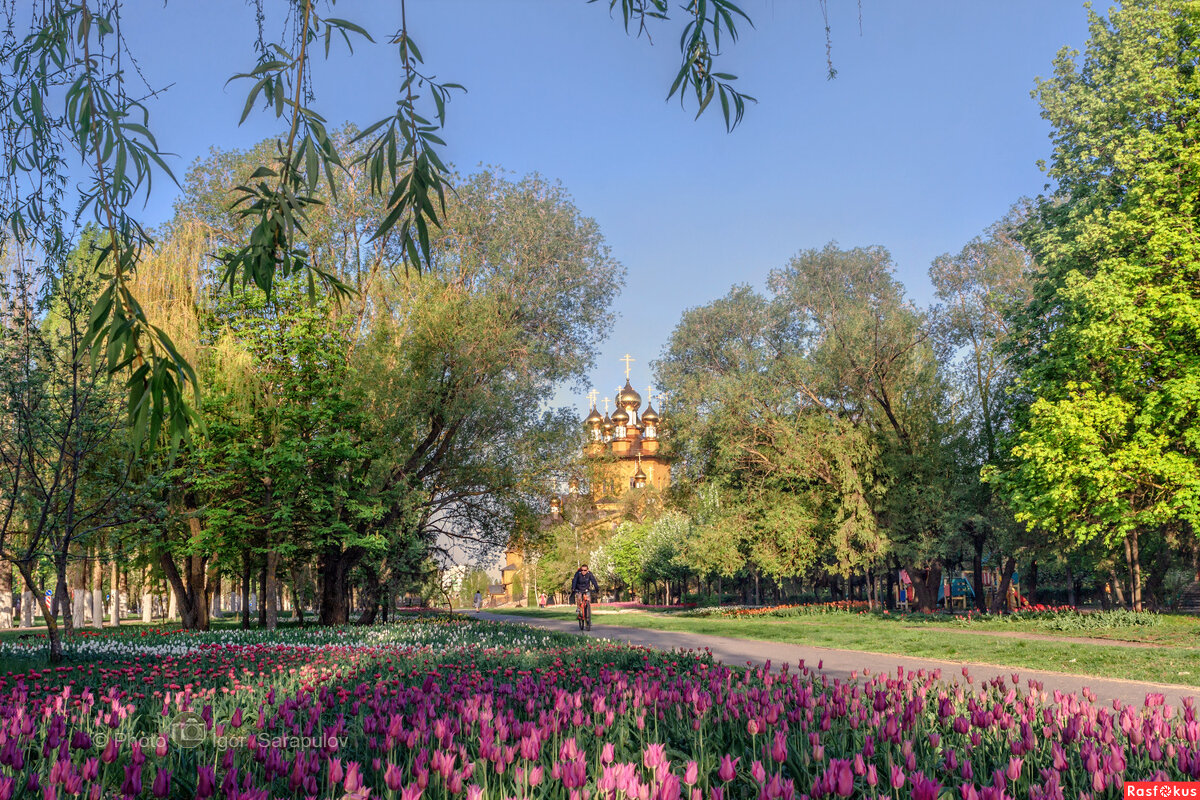 Весенняя симфония в парке Южный - Игорь Сарапулов