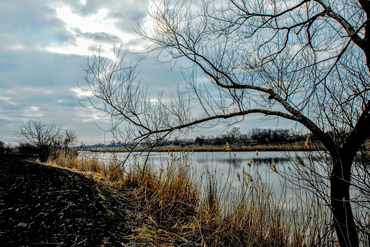 Весна. - Владимир 