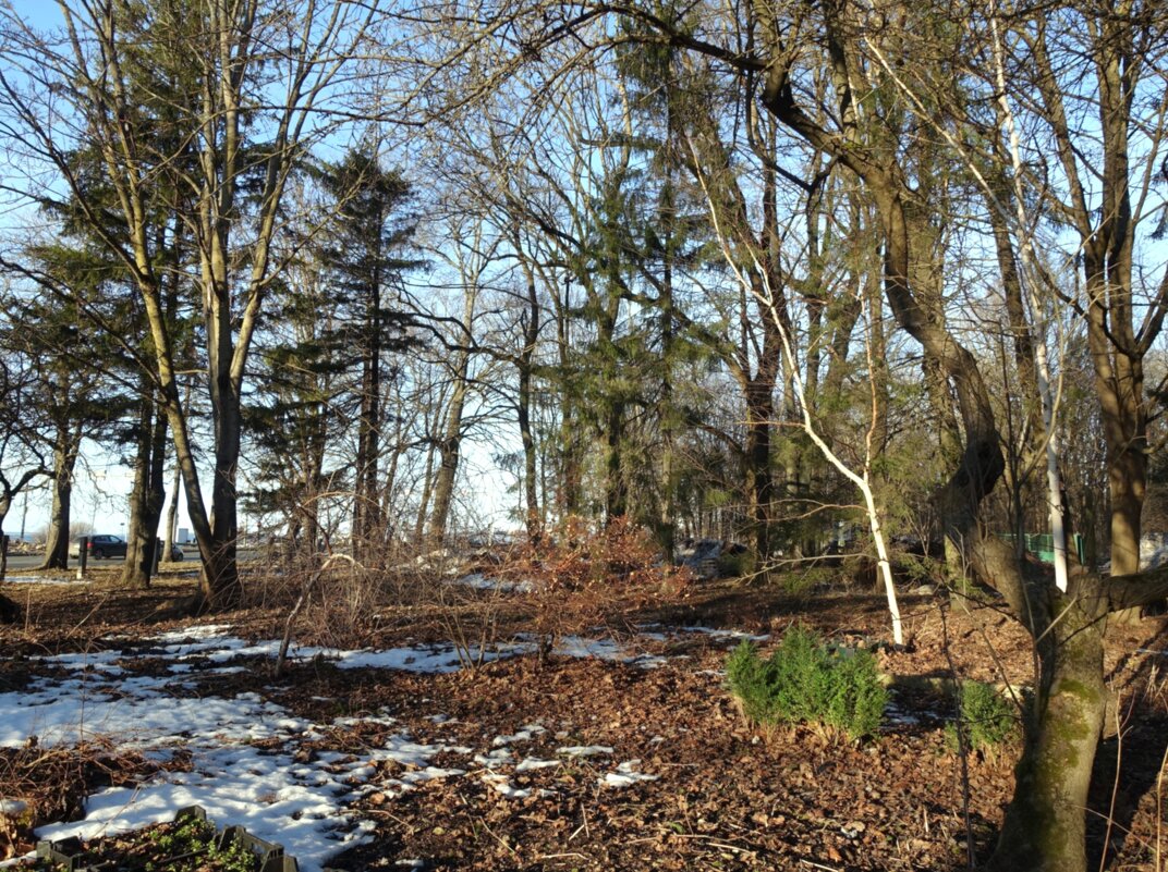 Солнечный день марта 2026г. - Aida10 