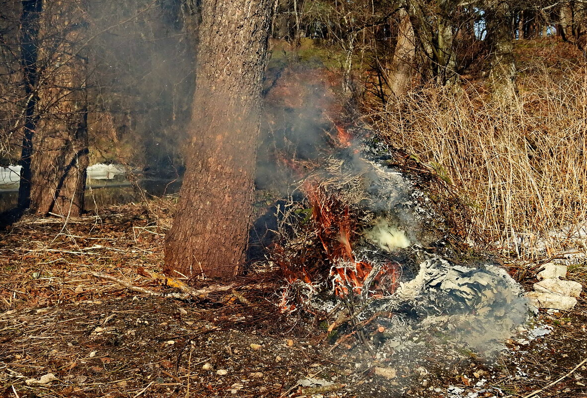 весенний костер - ИННА ПОРОХОВА
