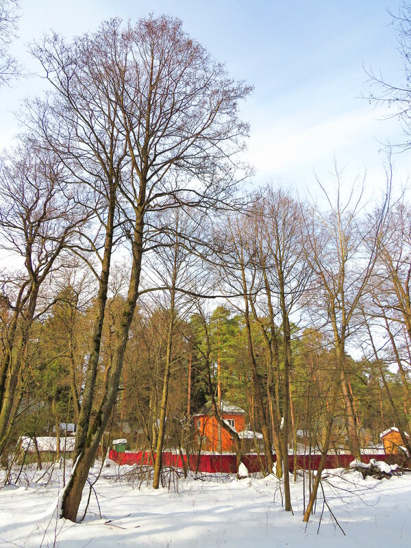 Мартовское утро - Андрей Снегерёв