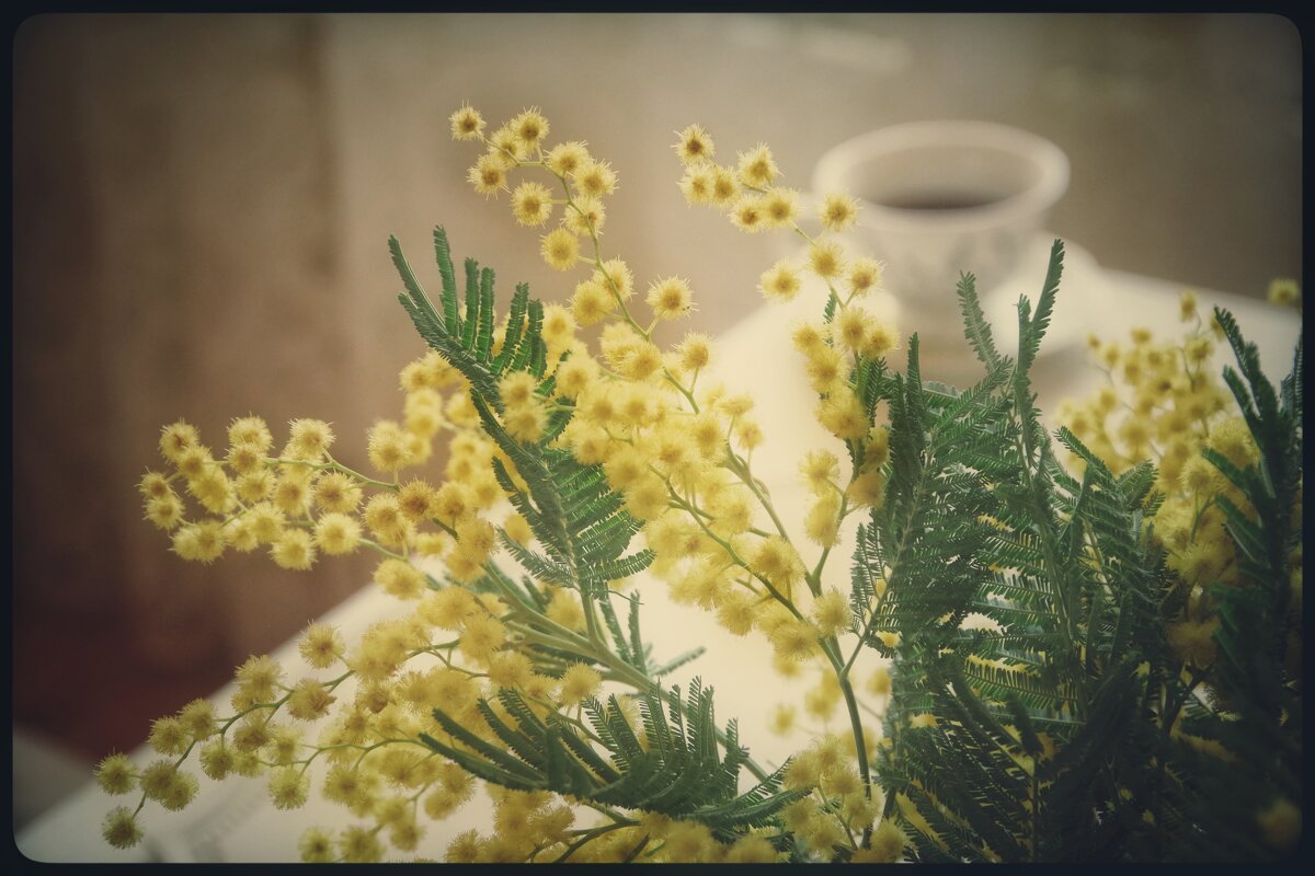 * * * - Руслан 