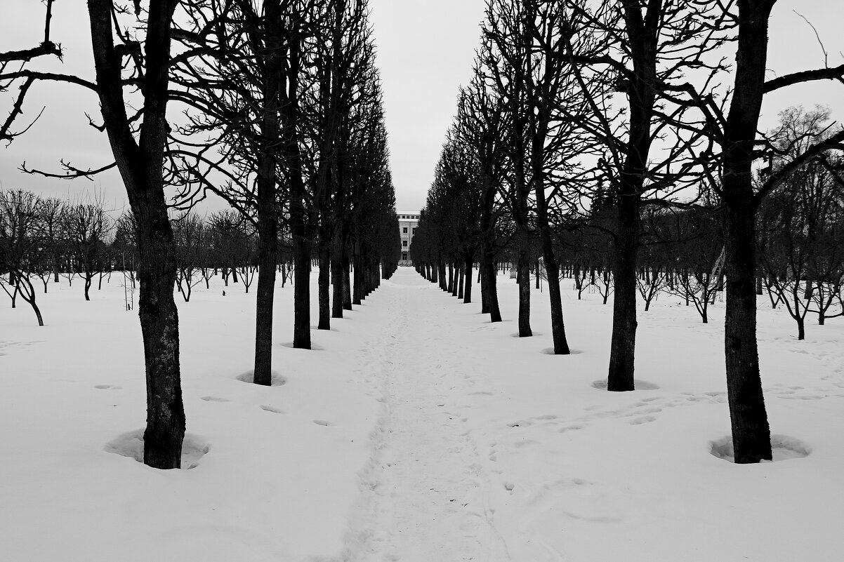 *** - веселов михаил 