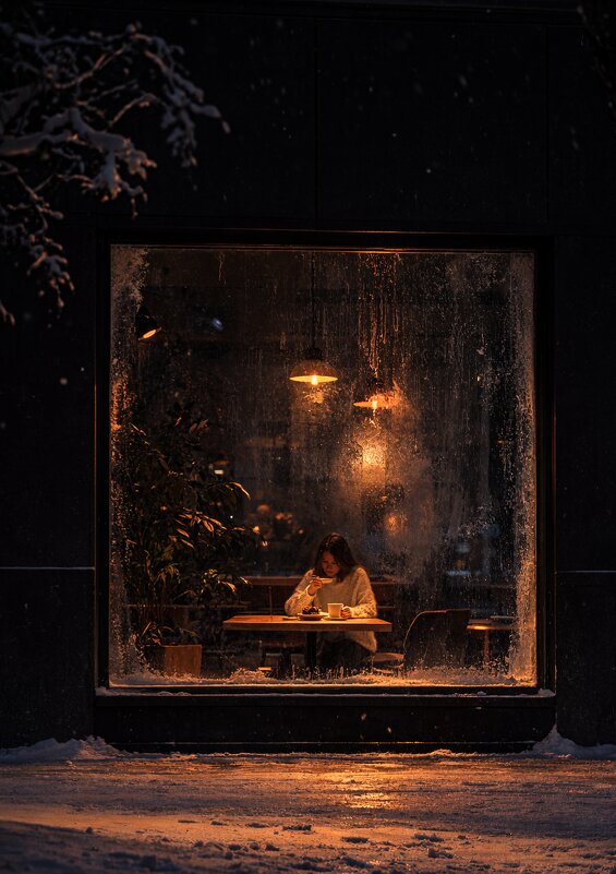 Зимой - Евгений Анисимов