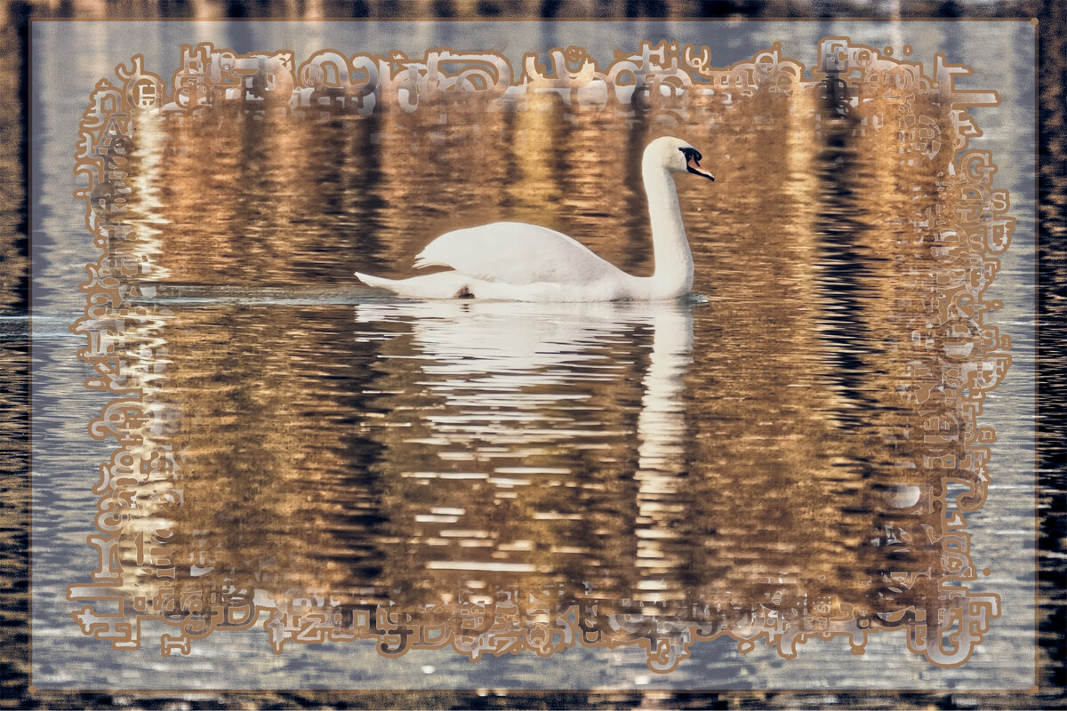 (°-°) - Jakob Dick