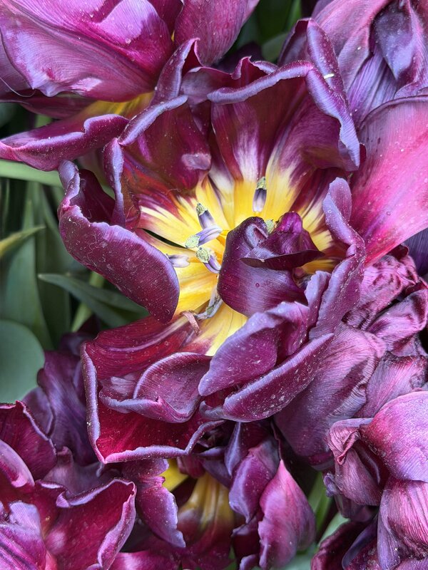 ЖивопИсь - Любовь 