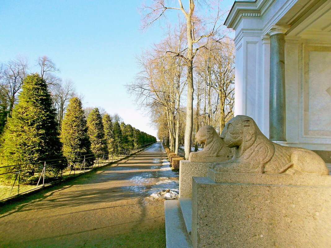 Каменные львы, март. - VasiLina *