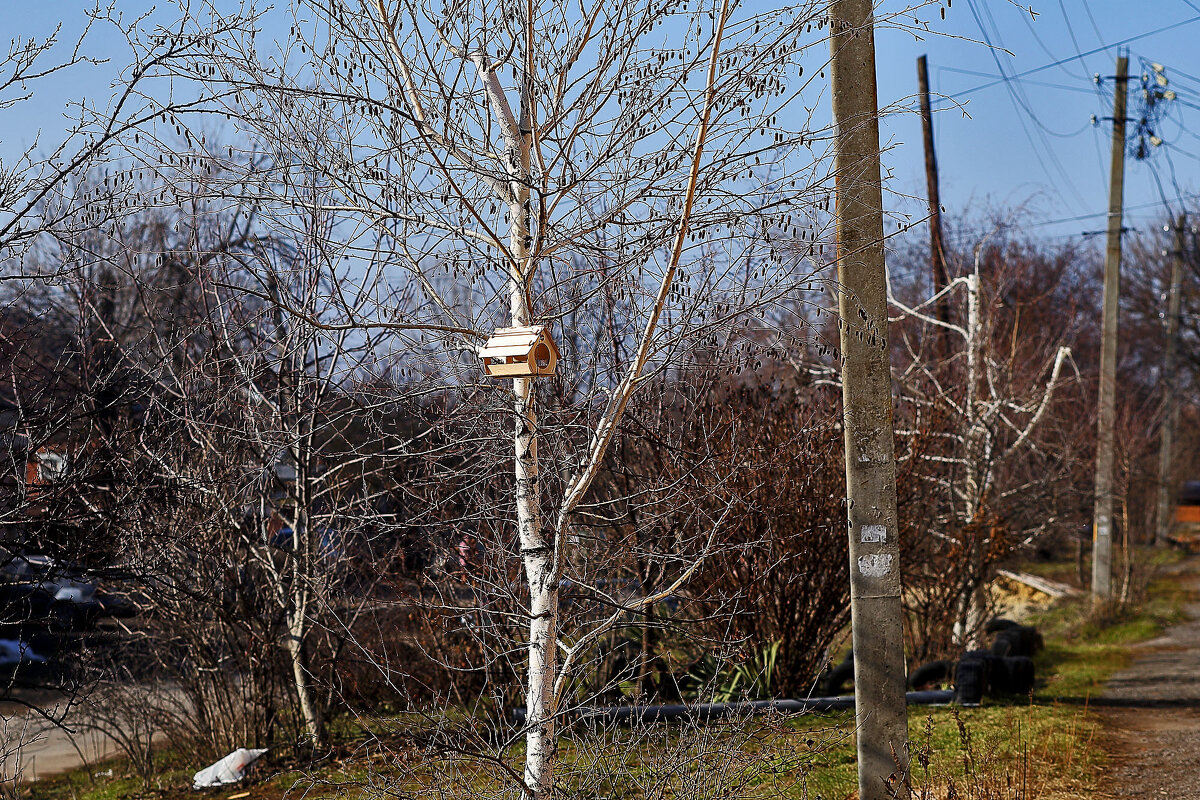 С праздником, красавицы! - Юрий Гайворонскiий