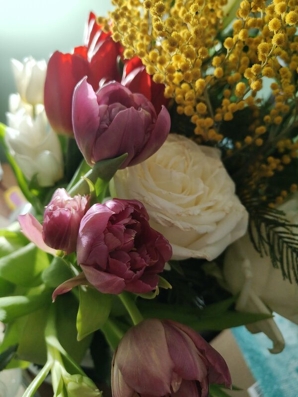 Всех девочек, с Праздником!) - Андрей 