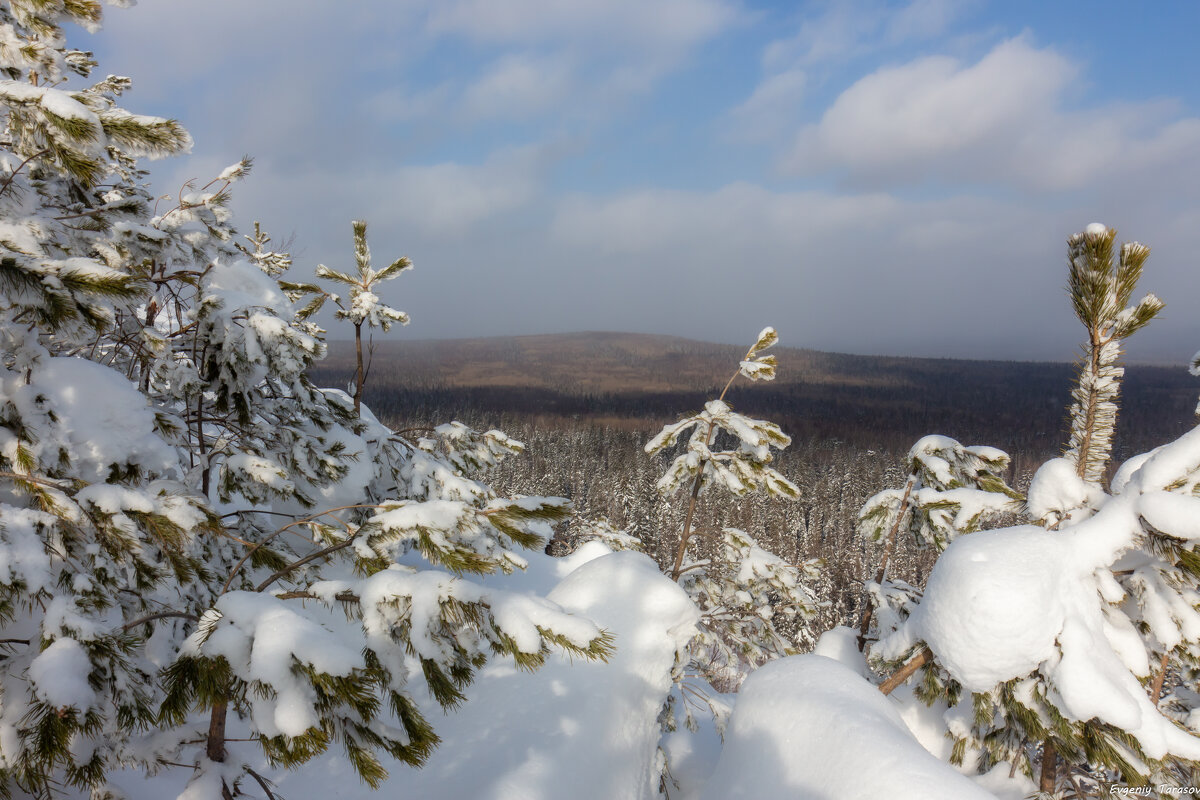 На вершине - Евгений Тарасов 