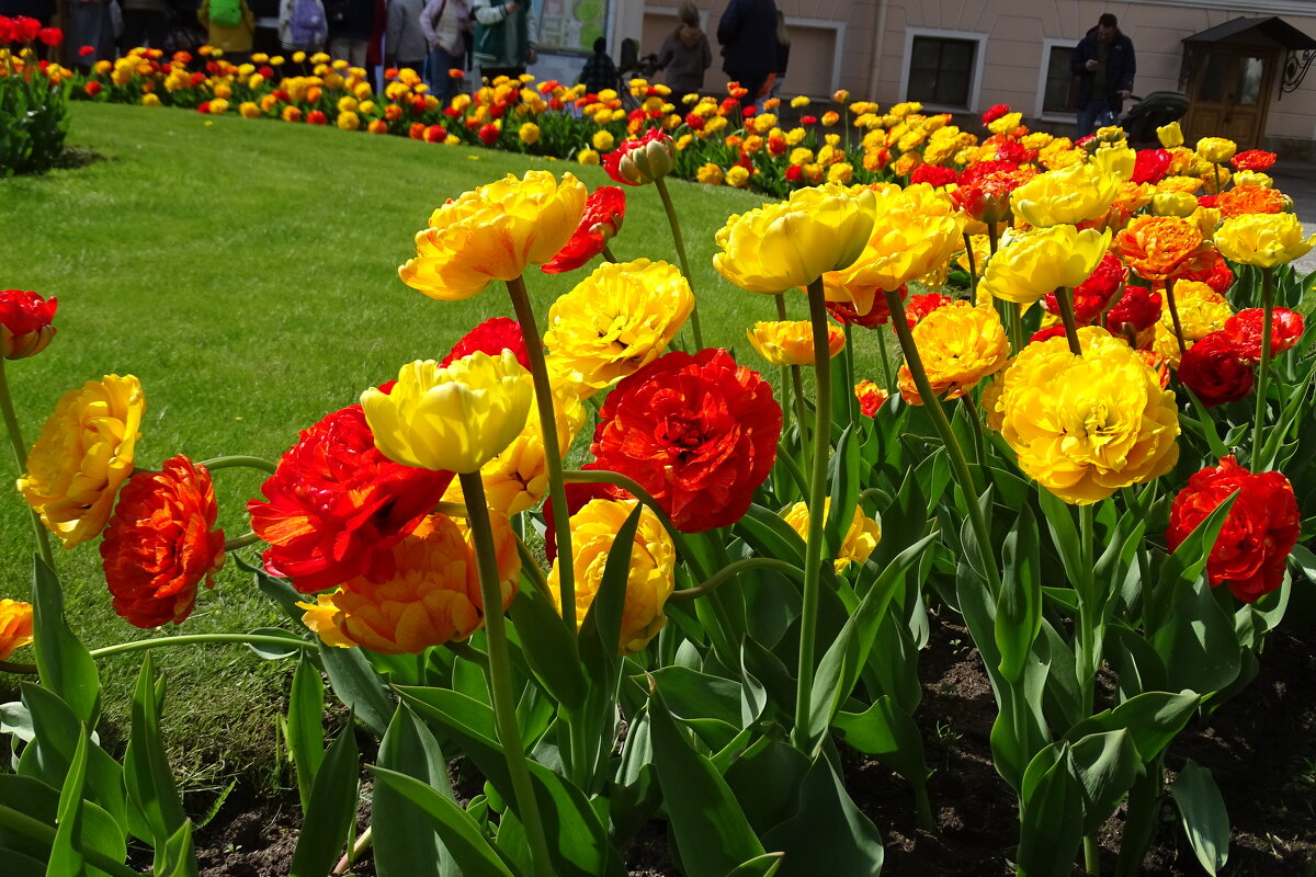 С международным женским днем! - Anna-Sabina Anna-Sabina