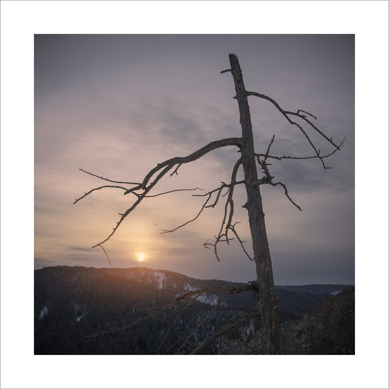 * - Александр Иванов