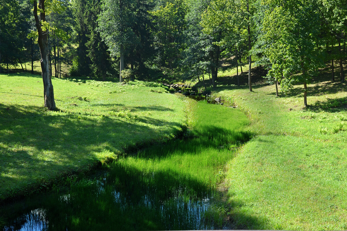 Заросший ручей - Валерий Пославский