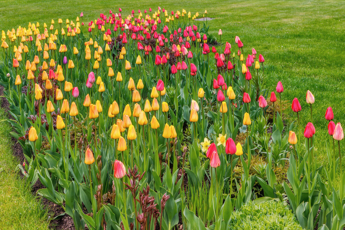 Весна - Владимир Колесников