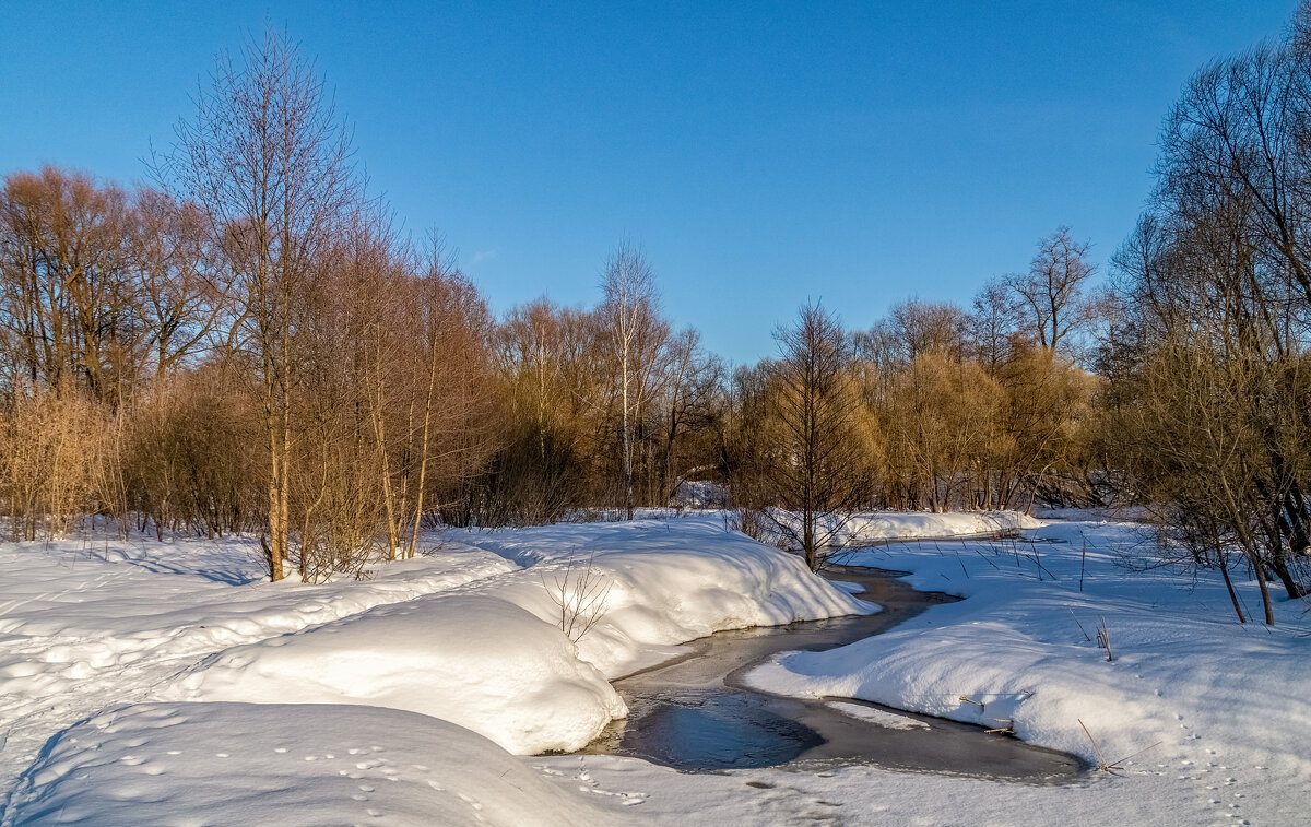 Весна набирает обороты ..... - Андрей Дворников