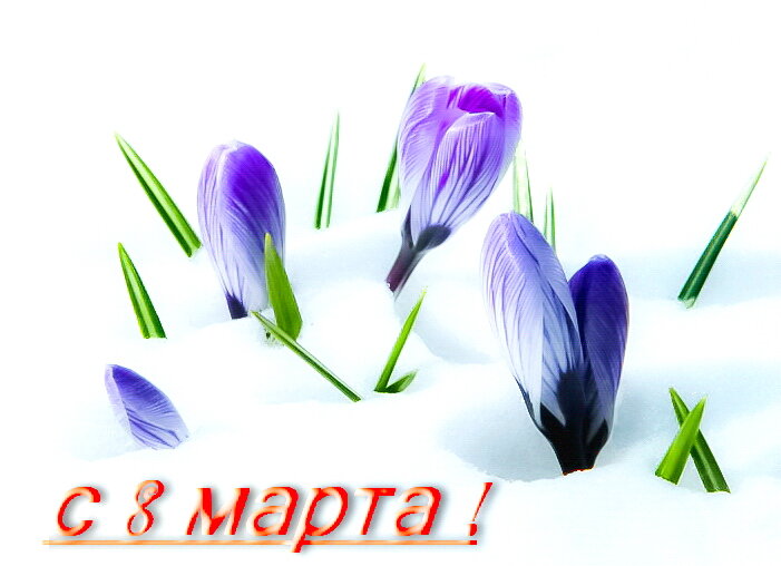 С 8 Марта! - Станислав ..