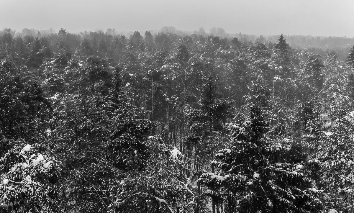 Высоко сижу, далеко гляжу. - Игорь Викторов