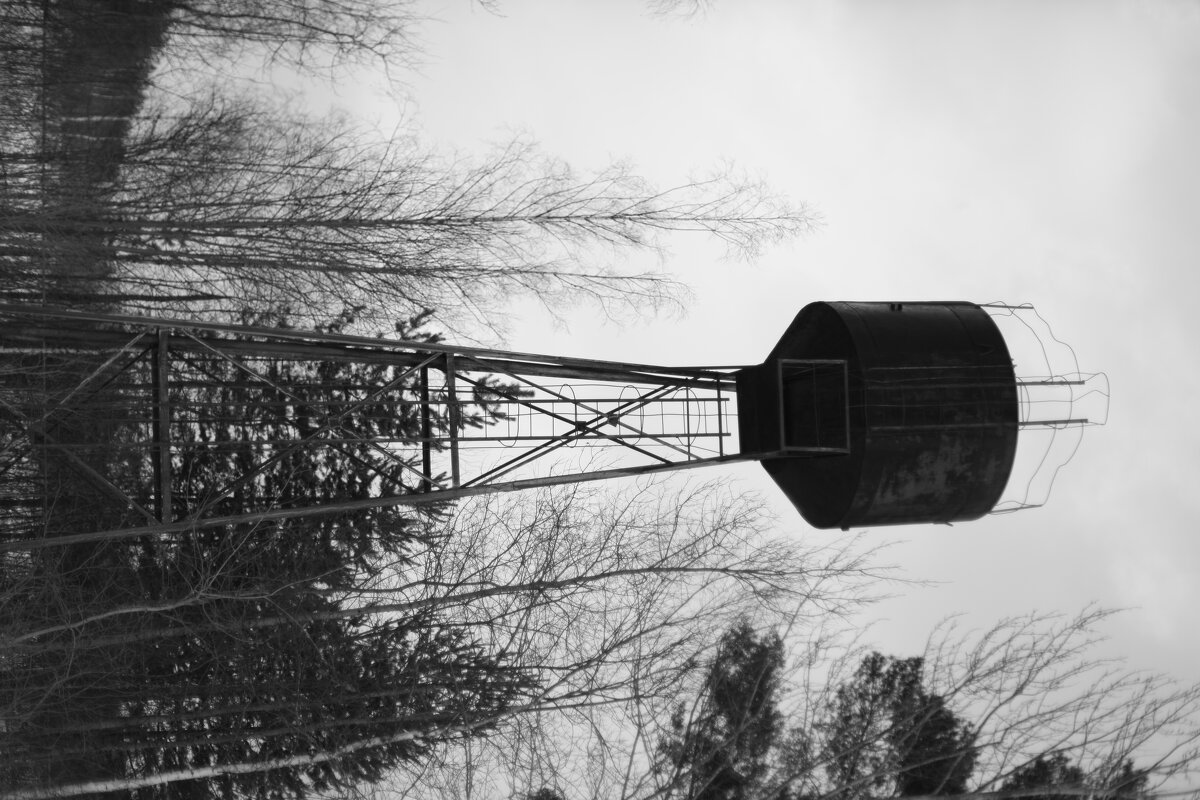 Мечты о ч/б Лейке 47. - Михаил Елочкин