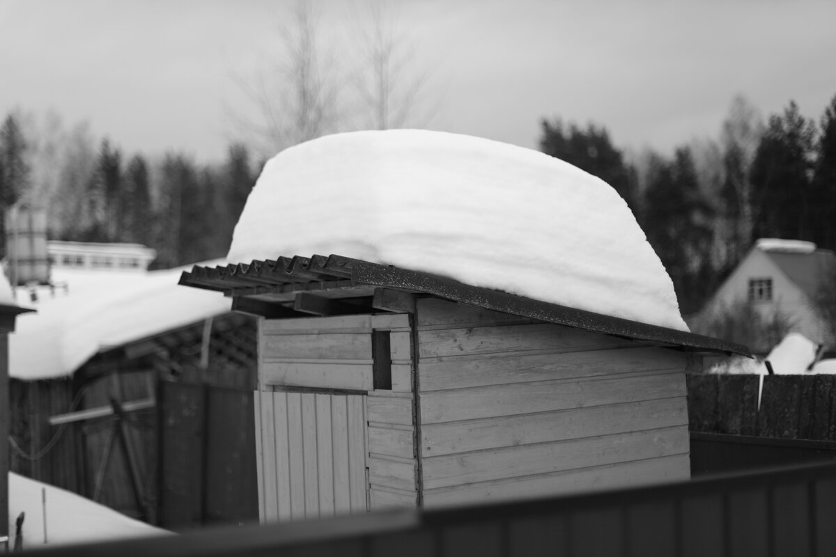 Мечты о ч/б Лейке 50. - Михаил Елочкин