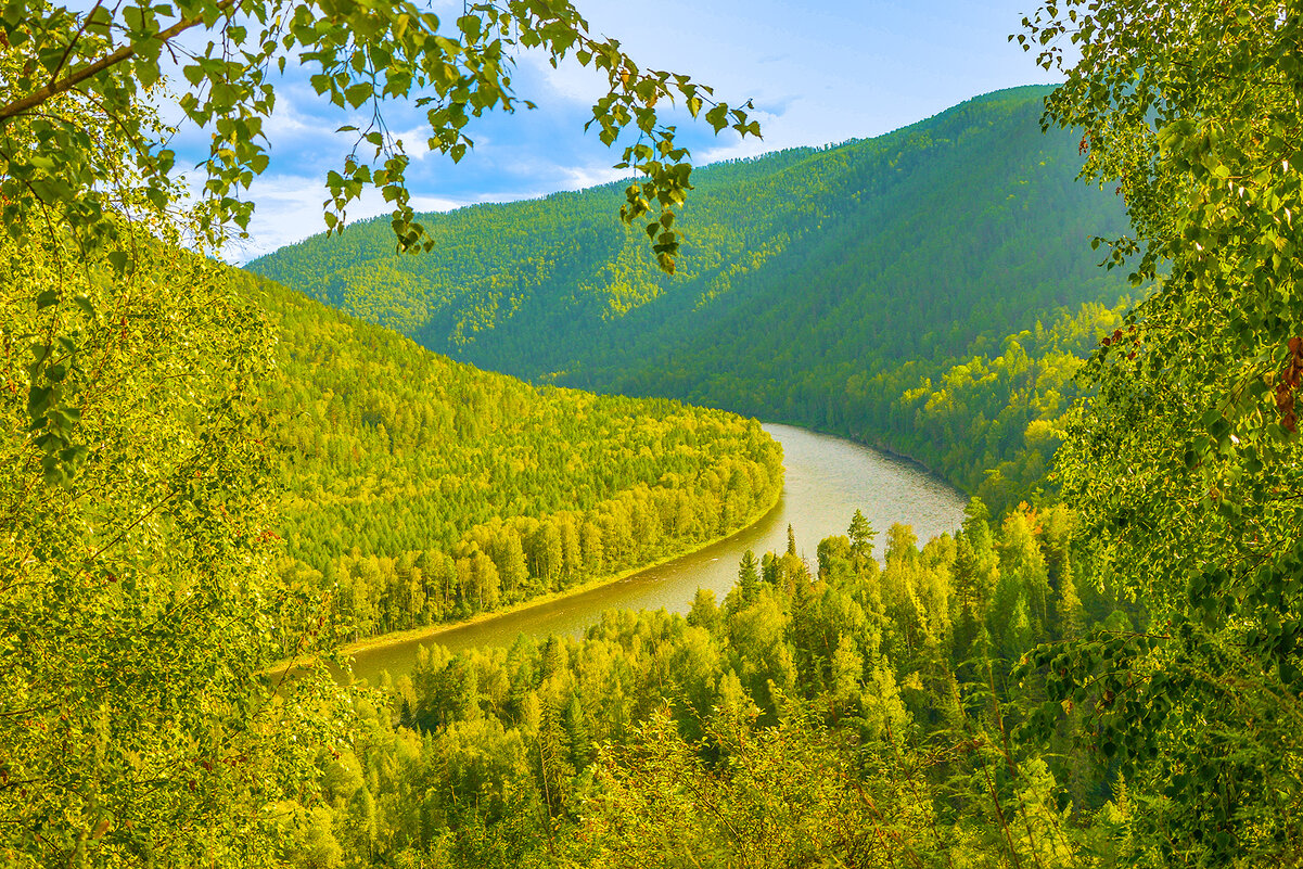 Таёжные берега ОНЫ. - юрий Амосов