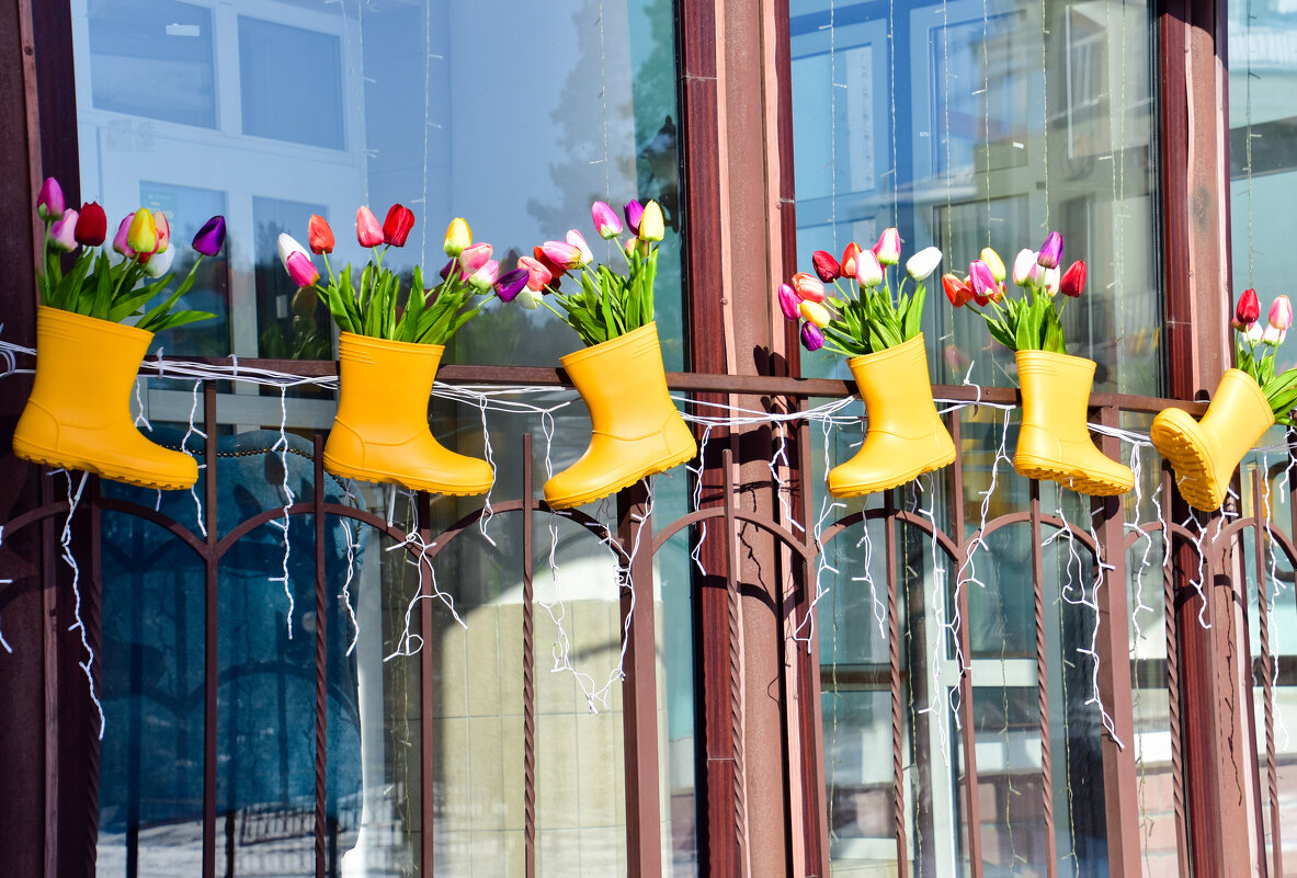 Всех Женщин - с Праздником 8 Марта!!! - Владимир Звягин