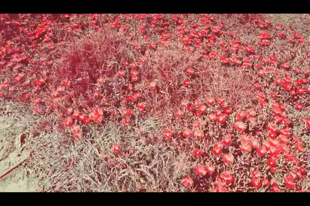 115 (178) - CLOSE WAYS ALL