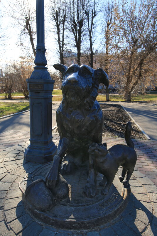 Памятник бездомным животным в Иванове - Ninell Nikitina