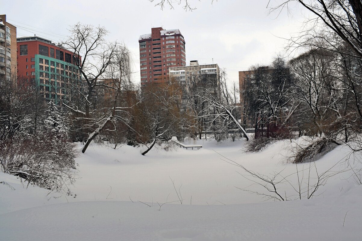 Старый пруд Аптекарского огорода в конце февраля. - Татьяна Помогалова