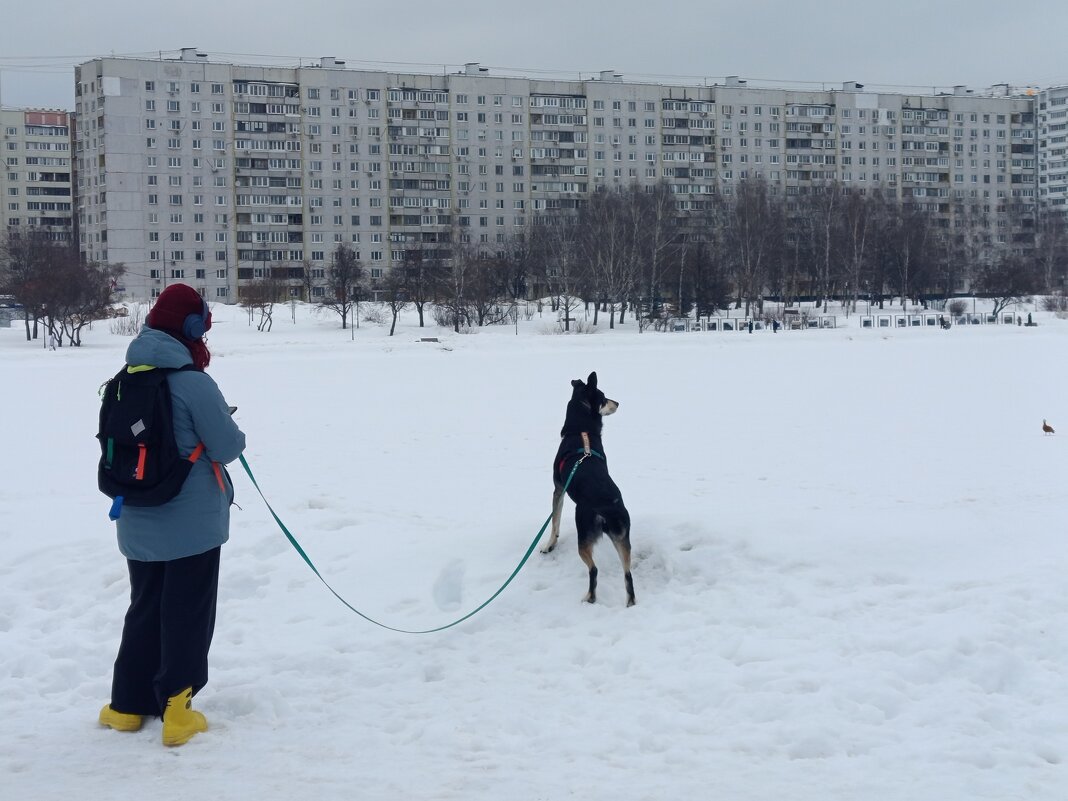 Впередсмотрящий (но, может, и ВБОКсмотрящий) - Андрей Лукьянов