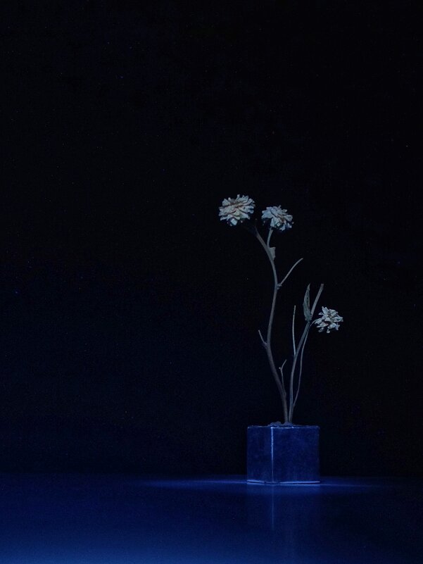 *** - Шу Юншен