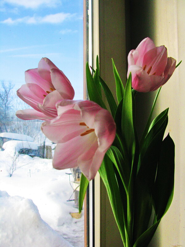 Нежный букетик - Людмила Смородинская