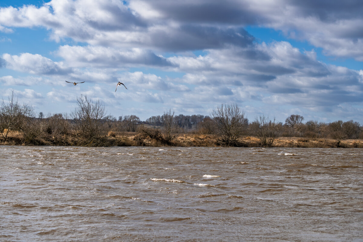 Беларусь, река Днепр - Игорь Сикорский