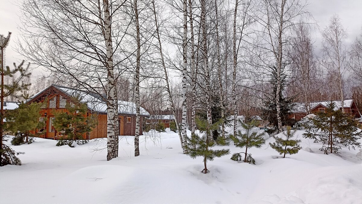 А за городом зима... - Татьяна Тюменка А за городом зима... - Татьяна Тюменка