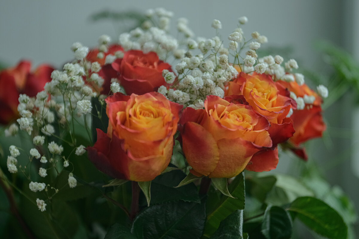 С праздником ! - Николай 