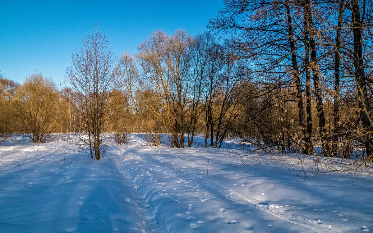 Весна набирает обороты 2 - Андрей Дворников