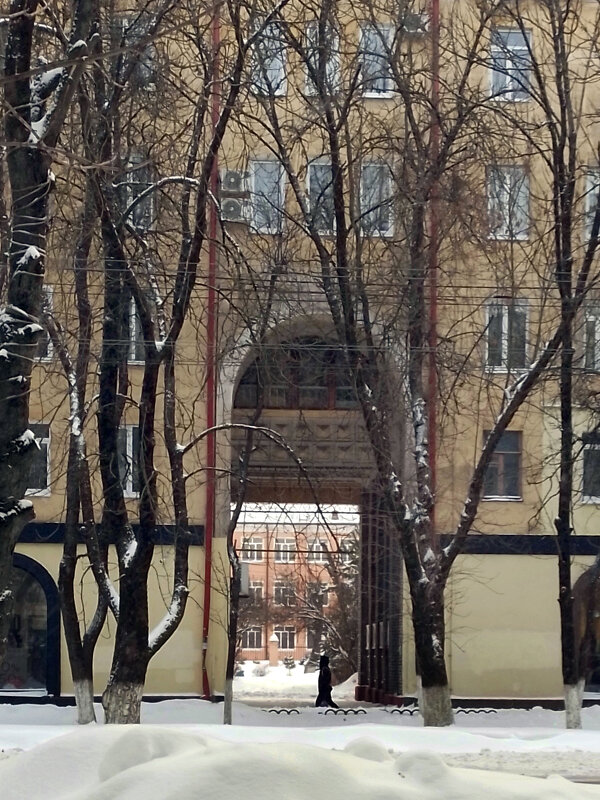 *** - Валентина Береснева