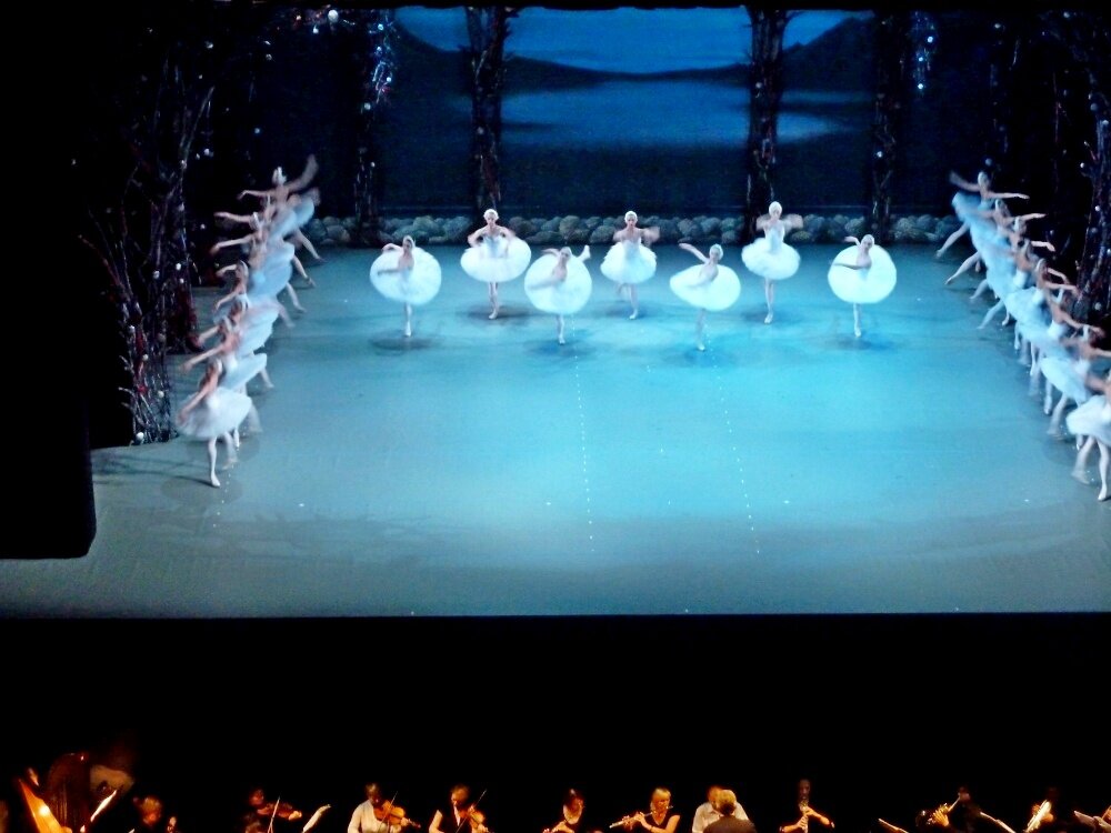 ПИТЕР, Лебединое озеро. - Виктор Осипчук