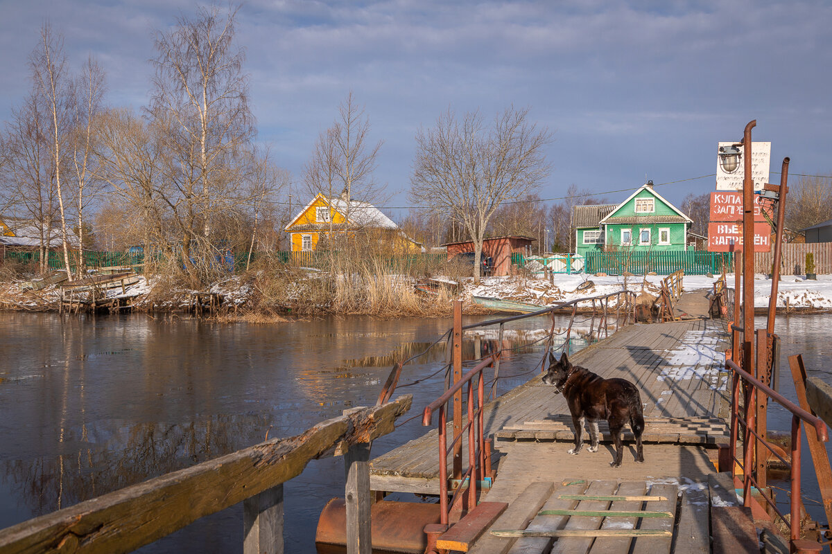 **** - Елизавета .