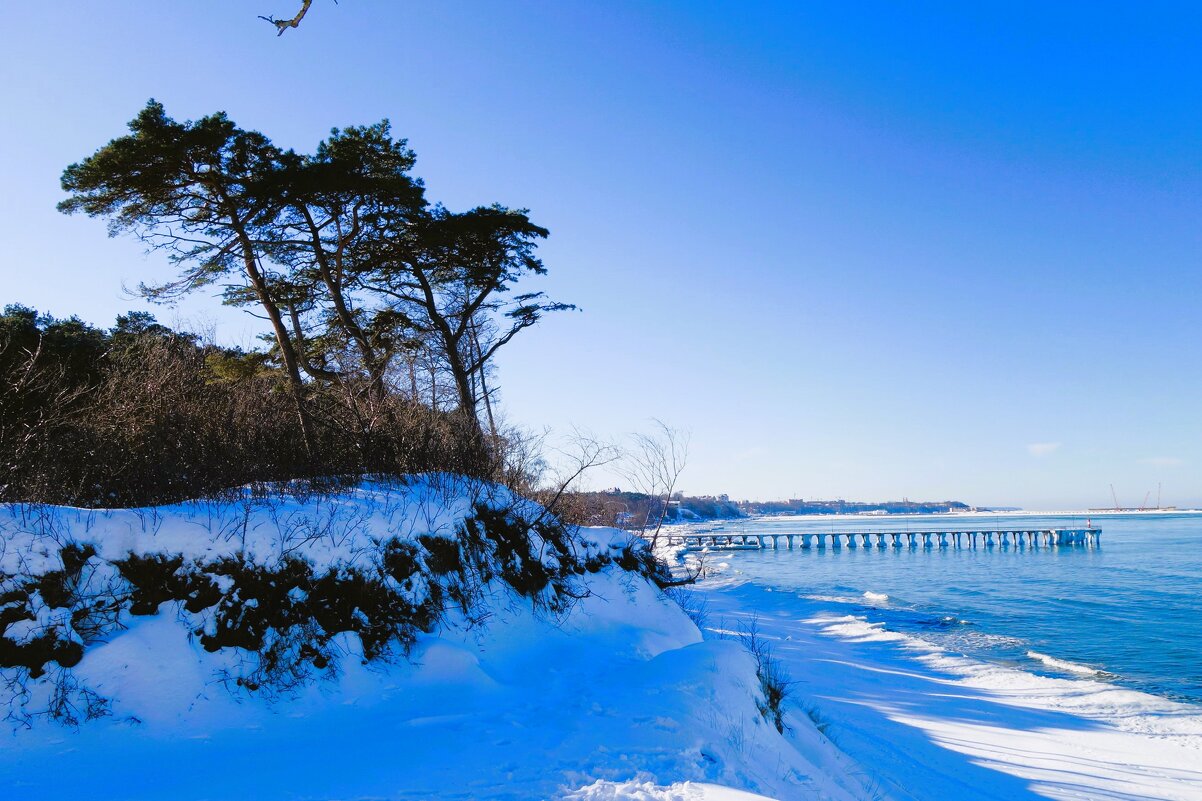 Февраль, Побережье Балтийского моря, Калининградская область - Рита Симонова Февраль, Побережье Балтийского моря, Калининградская область - Рита Симонова