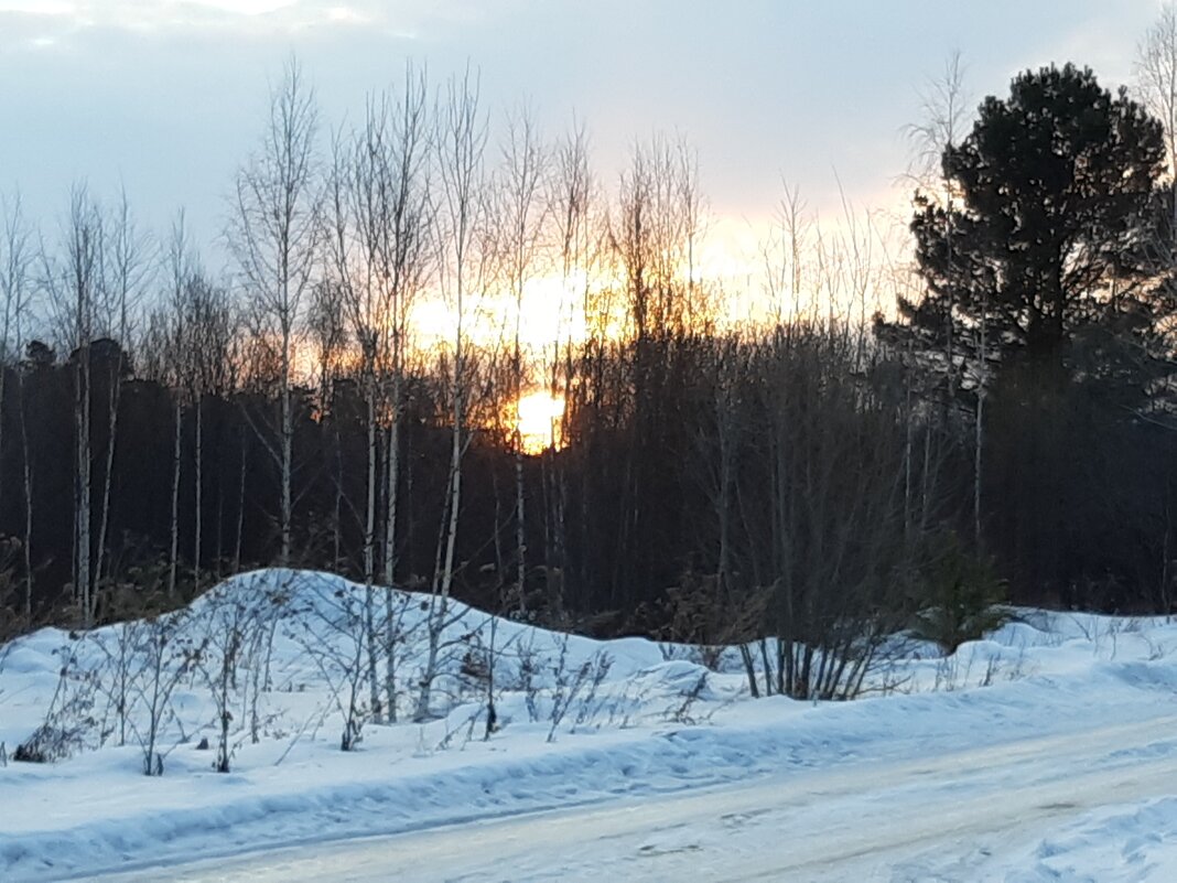 Рассветы - Галина Минчук