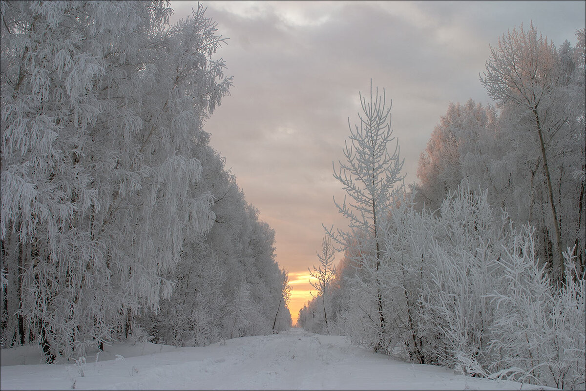 ПРОСЕКА - Александр Кустов