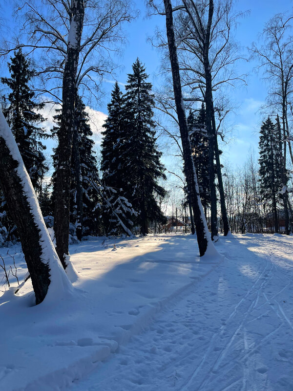 Подмосковье - Андрей Л. В.